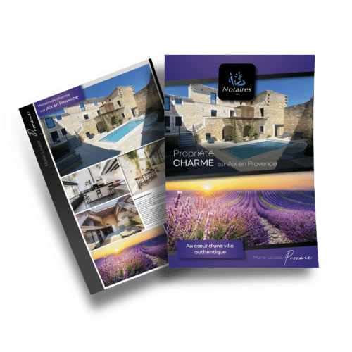 Flyers A4 250 grammes Soft Touch GIN Grand Paris - GIN PARIS