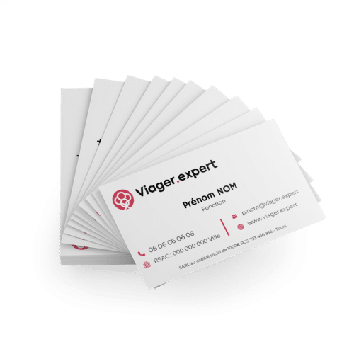 Carte de visite Glacé - Solution.immo