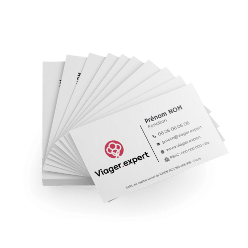 Carte de visite Glacé - Solution.immo
